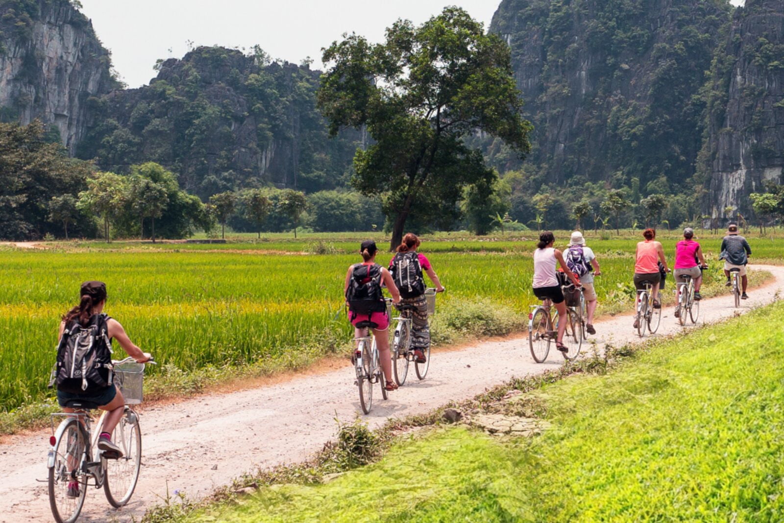 Ninh Binh 2D1N Tour: Hoa Lu, Tam Coc or Trang An & Cuc Phuong National Park